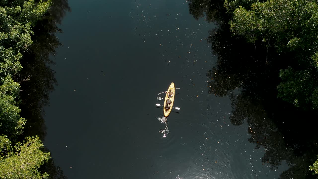 vista de pájaro sobre una pareja de kayak en el bosque de manglares en el paredón, guatemala - toma aérea de drones