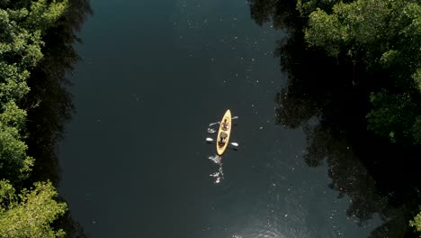 bird's eye view over couple kayaking in mangrove forest in el paredon, guatemala - aerial drone shot