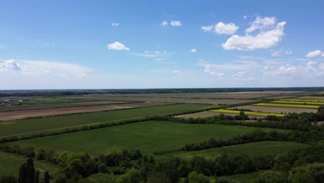 volando sobre el paisaje de primavera verde