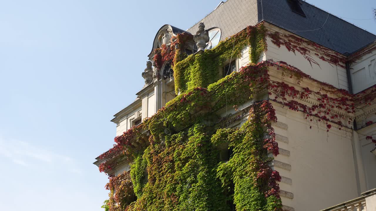 Wroclaw Comedy Theatre building with vines growing