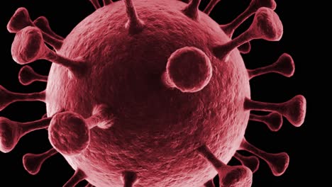 corona virus close up animation, better known as covid 19, can be used for background