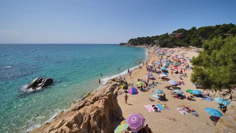 beautiful mediterranean beach of the costa brava girona leafy green vegetation and turquoise blue sea