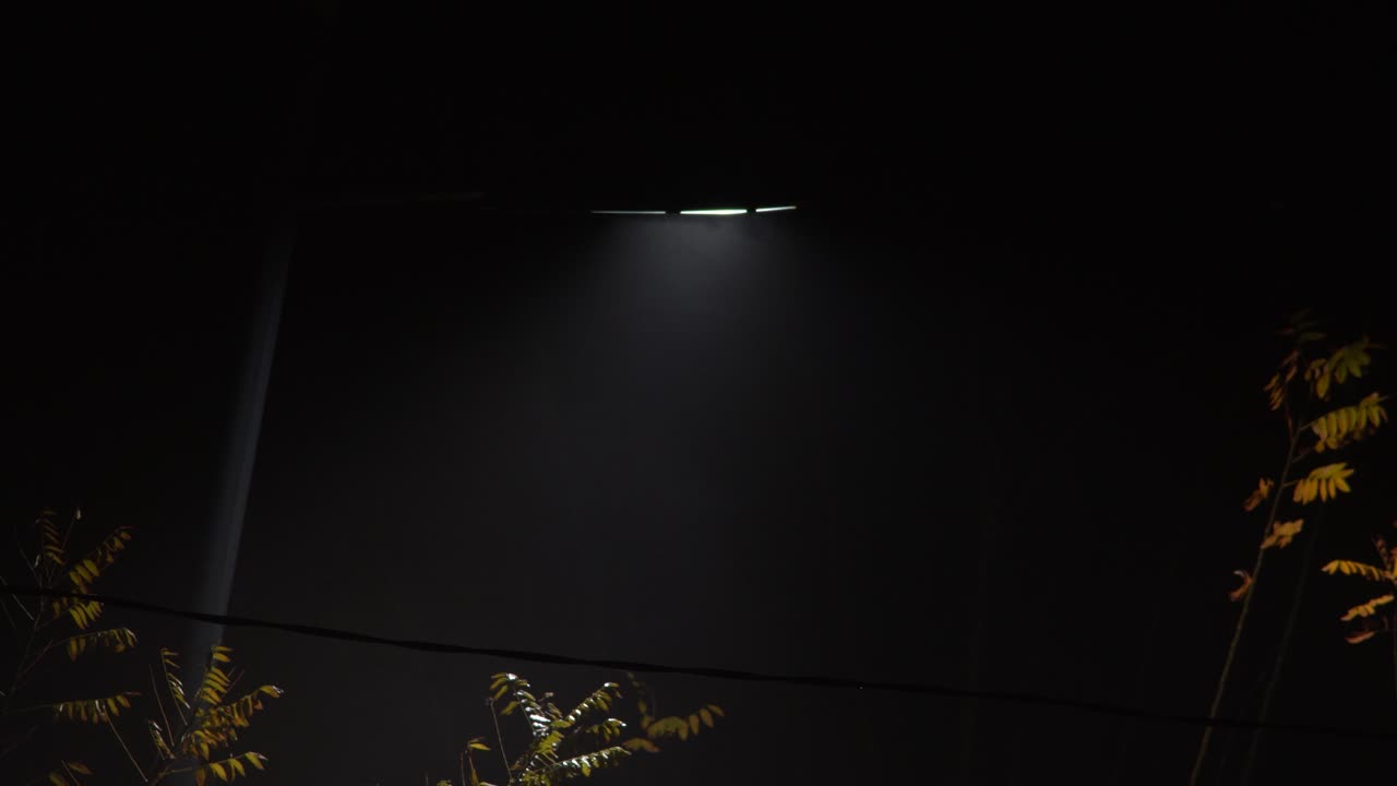 White light from lamp in park at foggy night