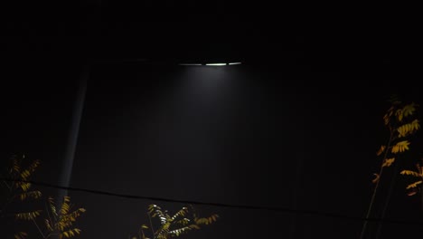 white light from lamp in park at foggy night