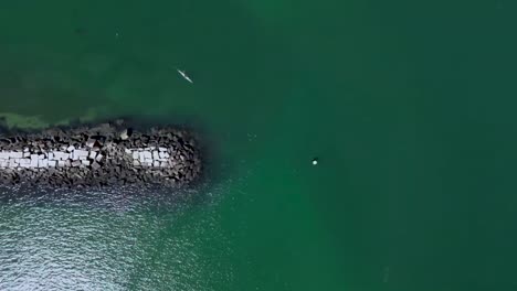 Adventurous-Kayaker-Paddling-Near-Enchanting-Coastal-Bridge-and-White-Rock-Formation