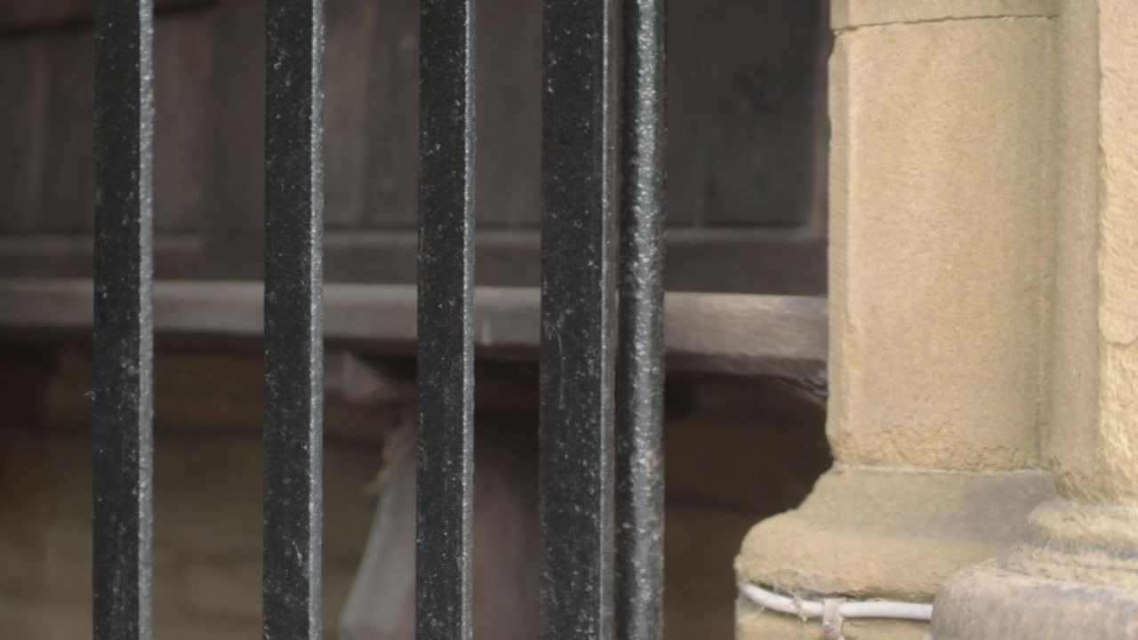 entrada de la iglesia asegurada por barandillas de metal con asientos de madera