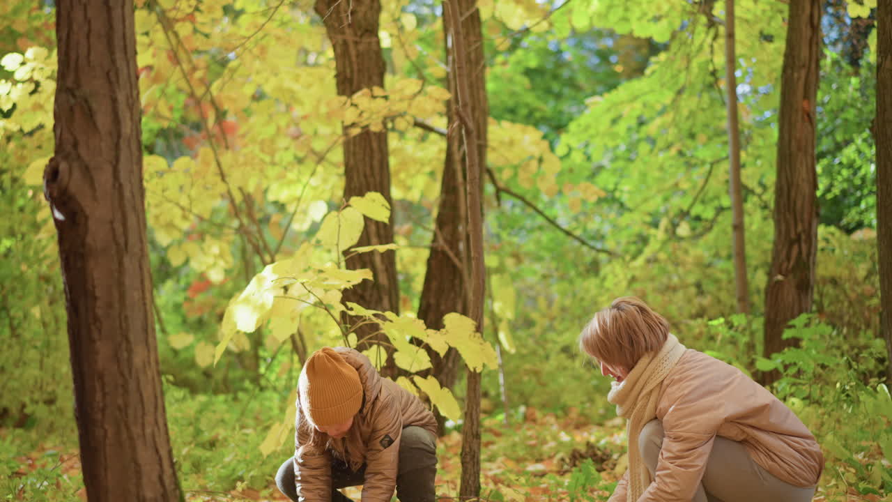 woman crouching joyfully with child in autumn forest, both engaging with fallen leaves under soft golden light, sharing playful moment surrounded by yellow foliage