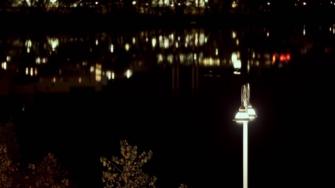 Shot of ornate street light with two bulbs at night warm yellow glow; water reflections behind
