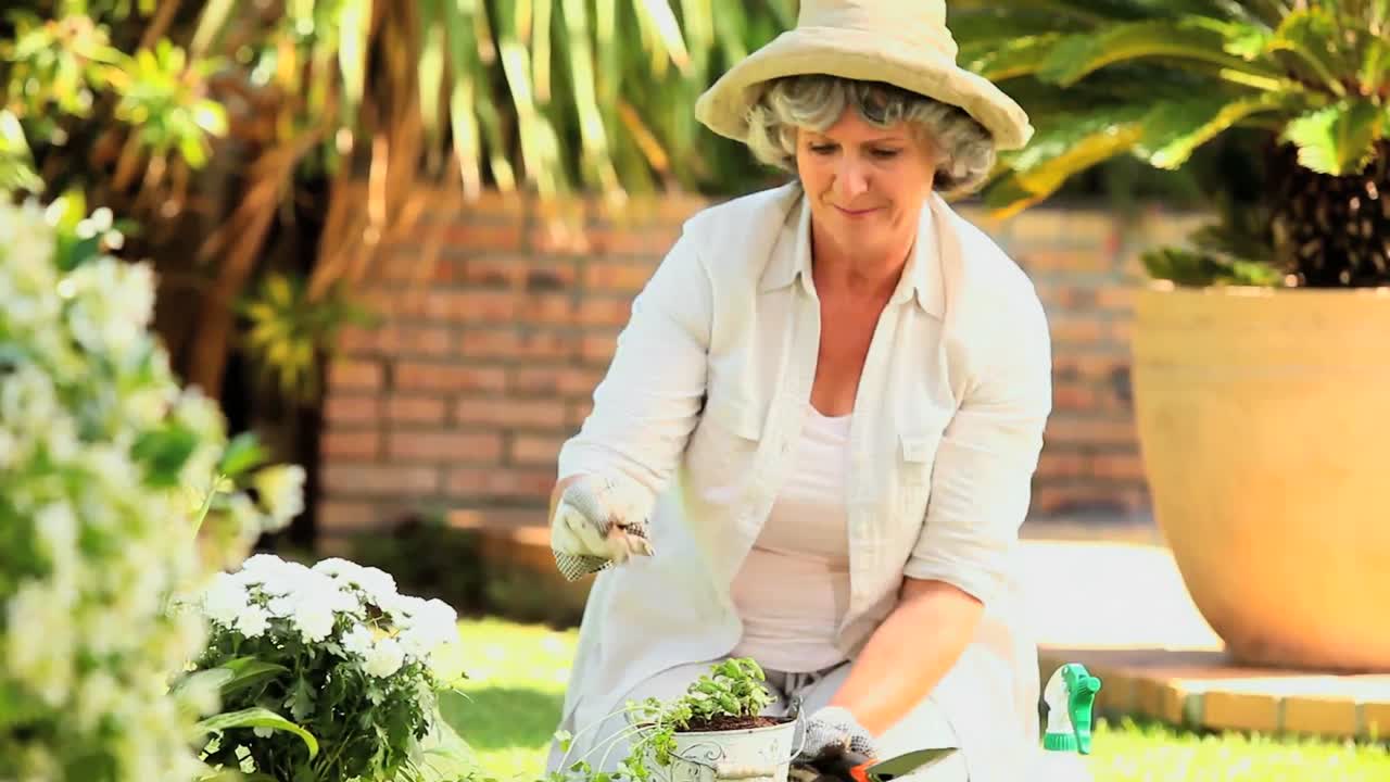 성숙 한 여자 가 정원 에서 식물 을  ⁇ 고 있다