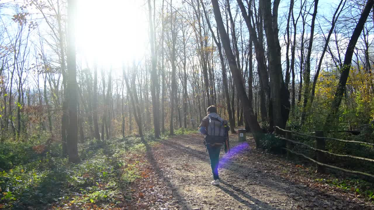 hombre solitario caminando por el bosque