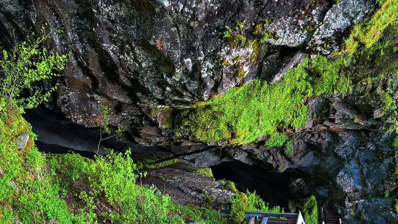 Lush Green Moss Growing on Dark Rocky Cliffside near Waterfall