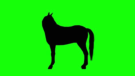 silhouette of a horse resting looking back, on green screen, side view. animal silhouettes seamless loop 3d animation.
