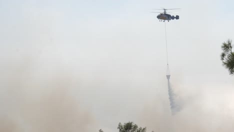 footage of a firefighting helicopter as it flies over a forest fire and dumps its water bucket on the fire to douse the flames