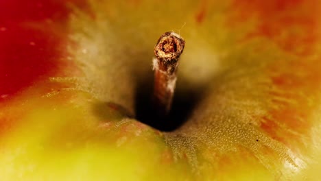 toma de detalle del producto de la parte superior de una manzana con tallo