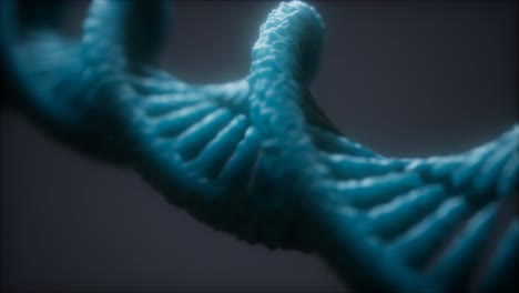 loopable structure of the dna double helix animation