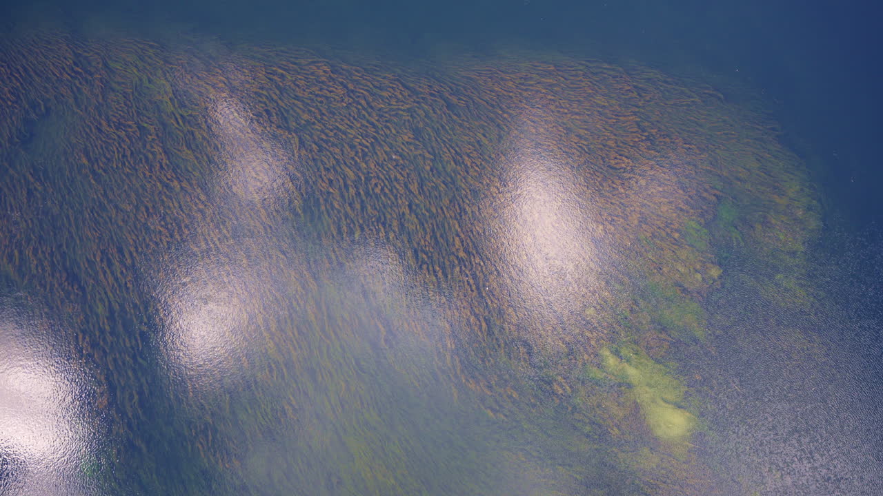 Drone view showing a forest of fall colors surrounding a flowing river