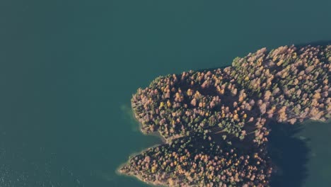 drone view top down view colorful trees and turquoise lake with forest island in the lake
