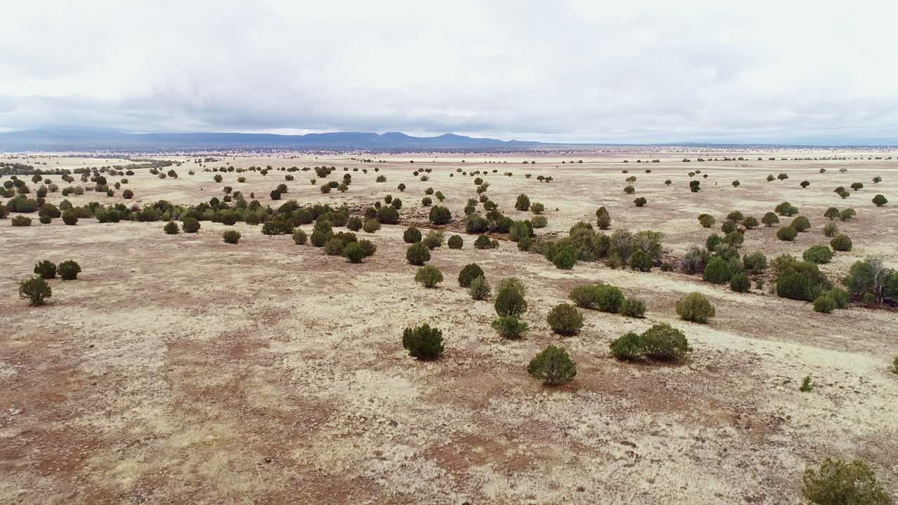 Empty prairie field, sparse trees, dramatic cloudy sky in remote USA wilderness