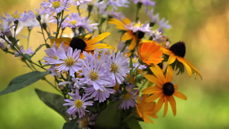 bouquet of daisies and black eyed susans in garden with bee flying around