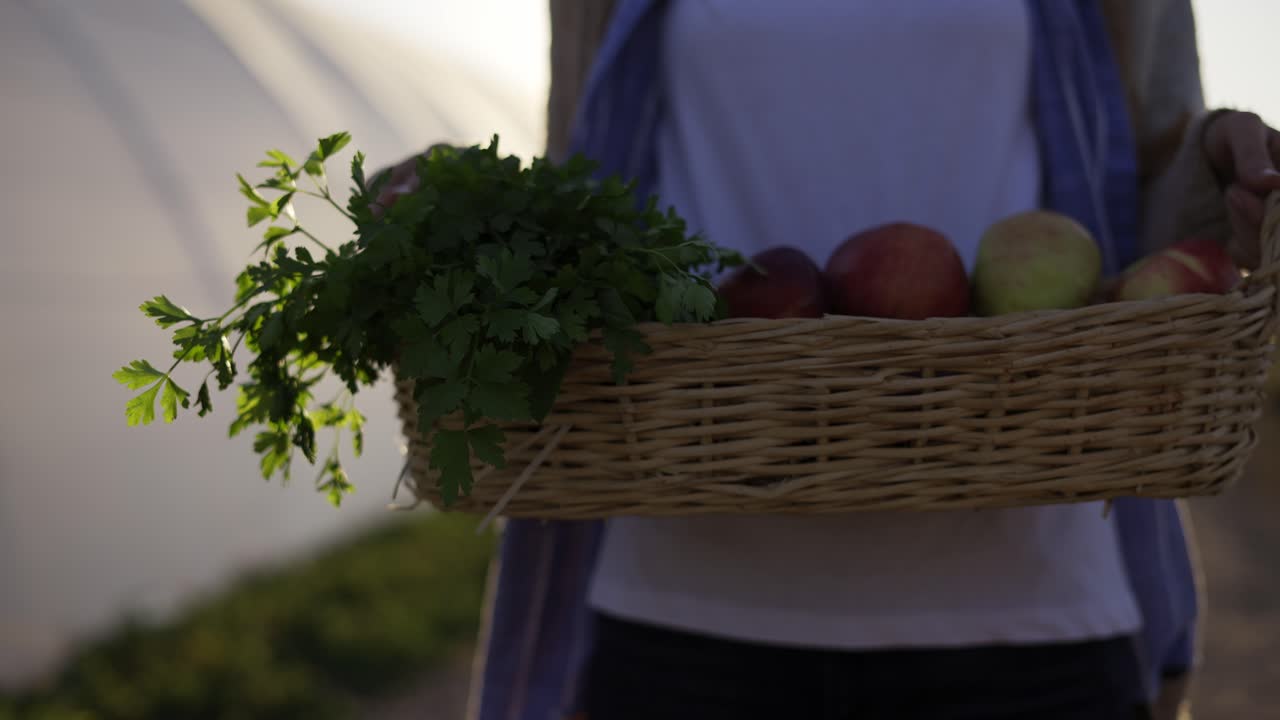 야외 에서 인식 할 수 없는 여자 가 운반 하는 채소 와 식물 로 가득 찬 바구니 의 클로즈업