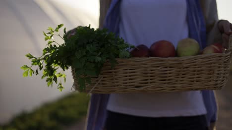 close up of a basket full of vegetable and plants carried by an unrecognizable woman outdoors