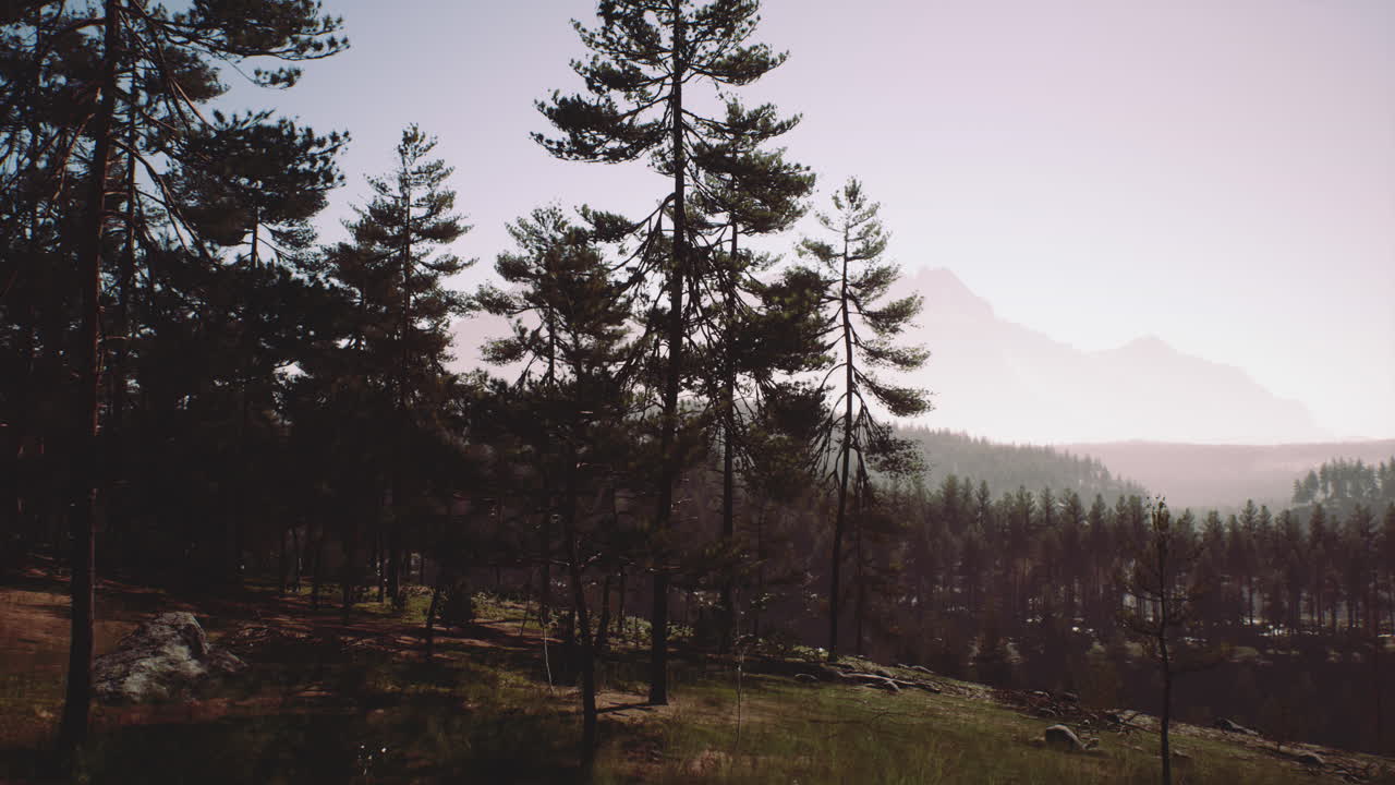 paisaje de bosque de montaña brumoso por la mañana