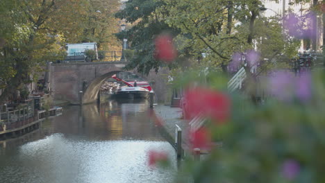 focus rack from colorful flower to beautiful canal in utrecht city, the netherlands