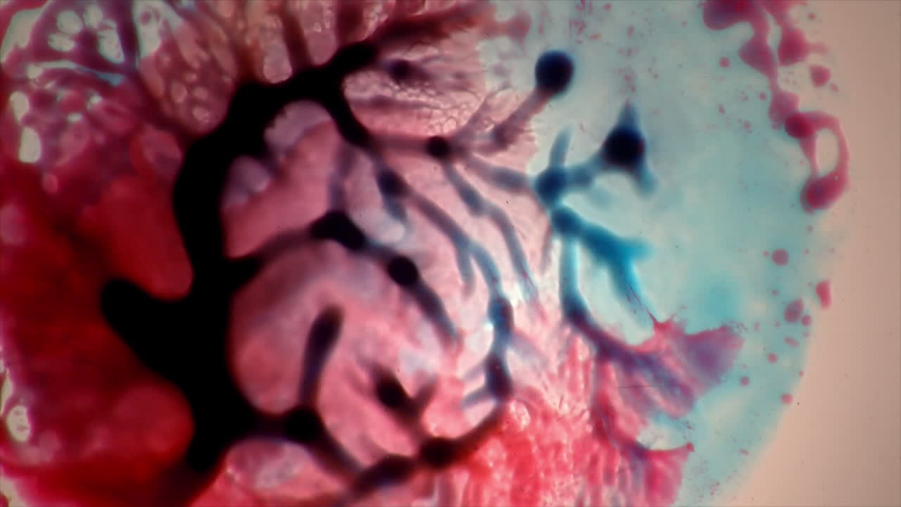 efecto de luz líquida con patrones dendríticos rápidos