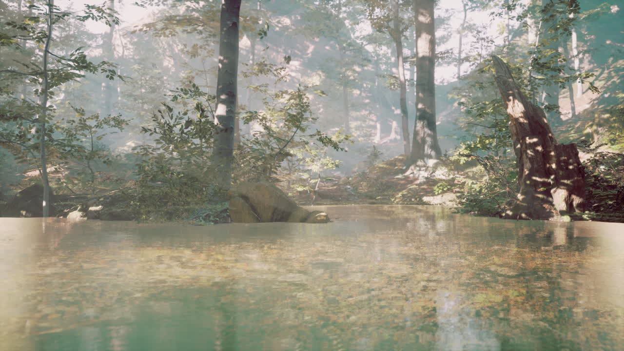 호수 숲 위의 안개 같은 새벽