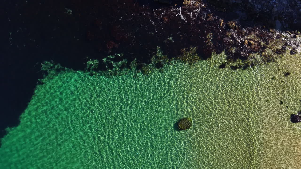 Crystal clear waters reveal vibrant marine life along a tranquil coastal shoreline in a serene moment of nature's beauty