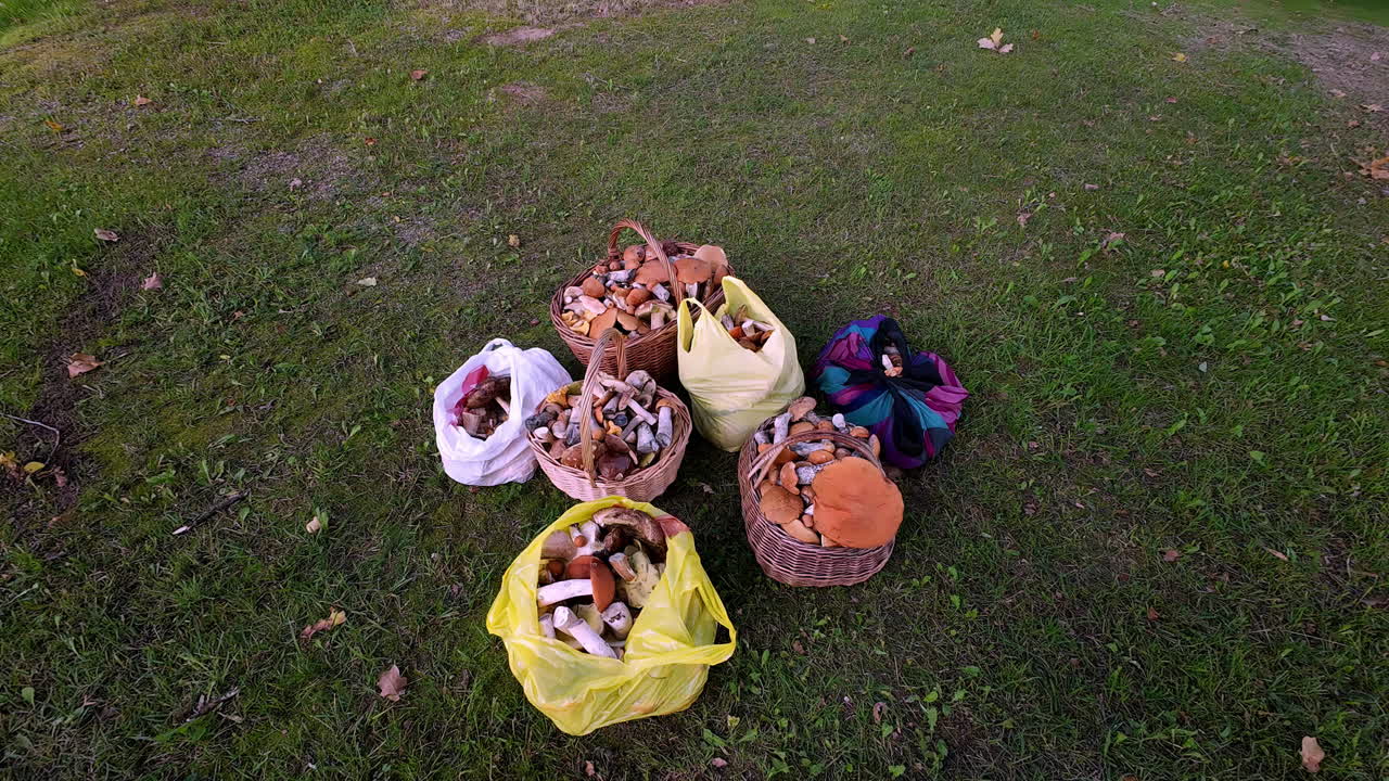 Zoom su secchi e cesto pieni di funghi selvatici