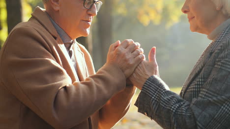 elderly man and woman helderlying hands and talking at sunset in the park in autumn 1