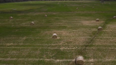 Aerial-flyover-agricultural-fields-with-many-grass-bales-In-Margaret-River,-Western-Australia