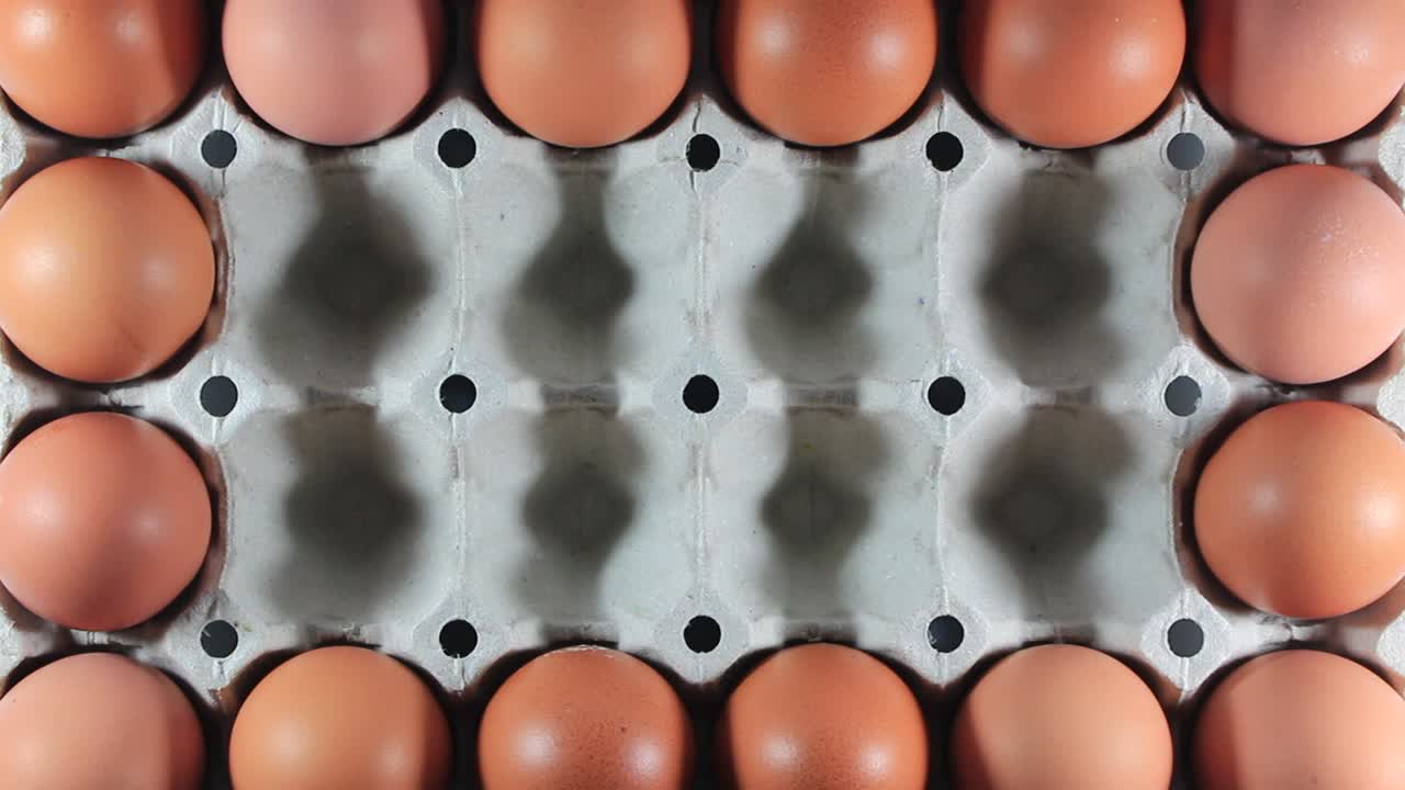 양질의 계란과 농장에서 신선한 계란을 선택합니다.