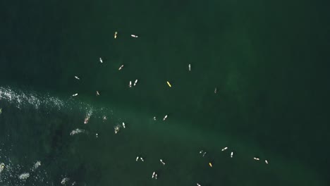 Group-of-surfers-on-turquoise-ocean-surface,-above-view