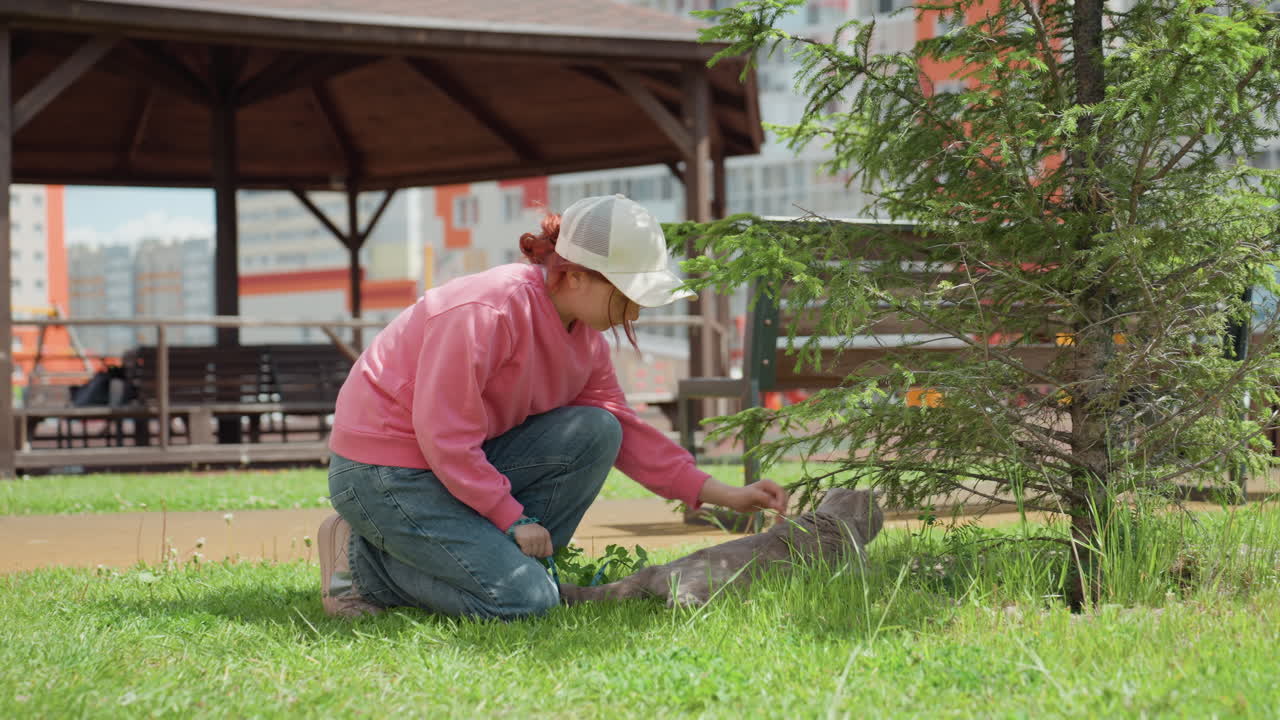 Gardener Kneeling By Sapling In Park, Tending Soil With Small Shovel And Gloves, Wooden Gazebo And Apartment Buildings In Background, Soft Midday Light Creating Calm Atmosphere, Careful Hands