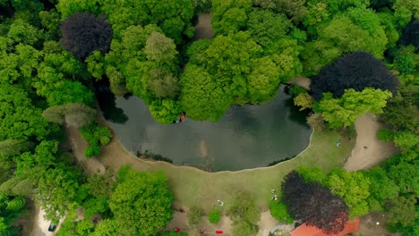 Volar-Sobre-El-Parque-De-La-Ciudad-En-Primavera