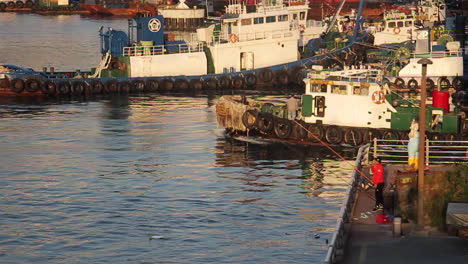 tugboats and fishing in a harbor