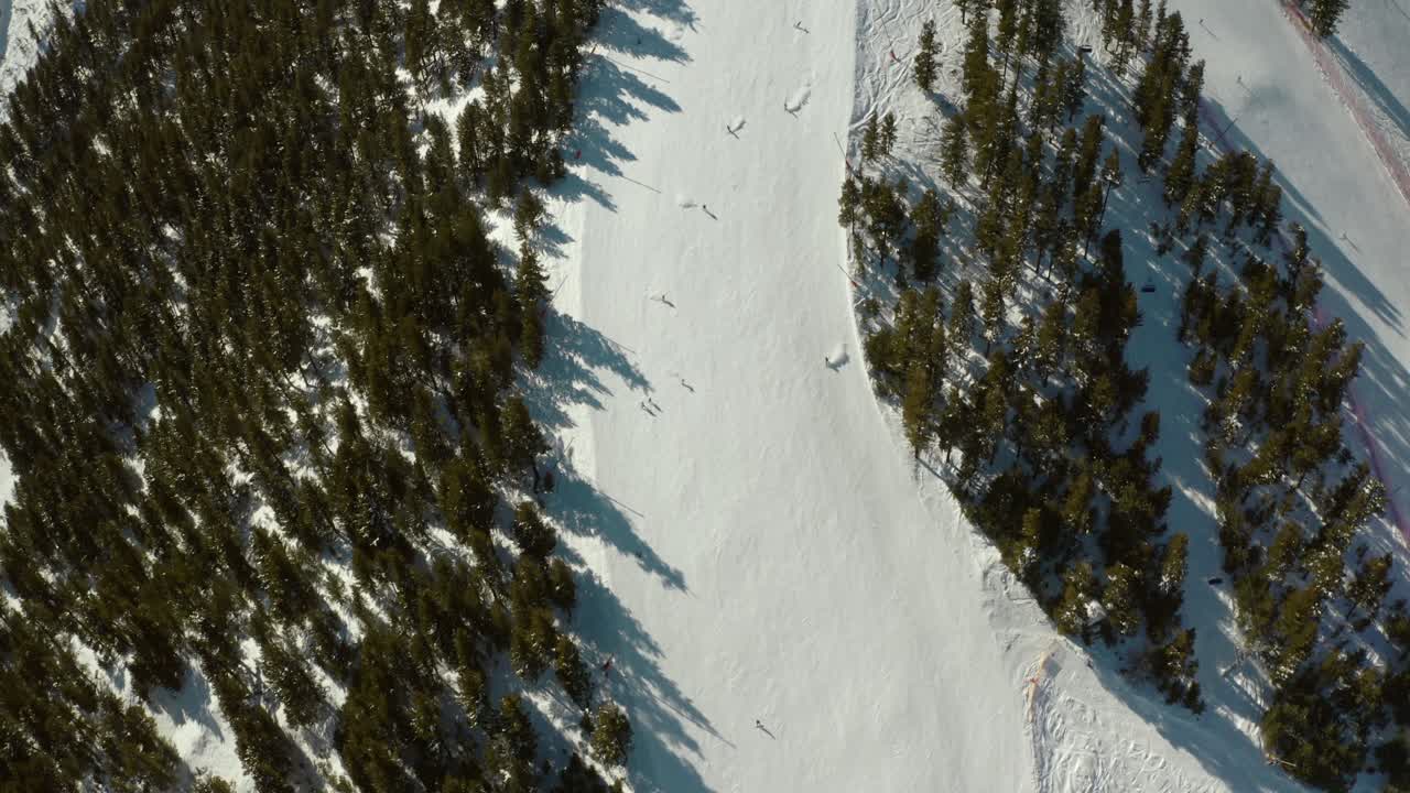 esquiadores en senderos nevados, pistas de esquí