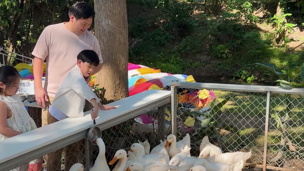 พ่อกับลูกๆ กำลังเพลิดเพลินกับการให้อาหารเป็ดขาวจากแท่นในสวนสัตว์