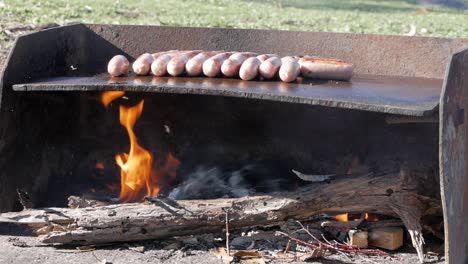 salchichas cocinando en una barbacoa de hierro al fuego de leña al aire libre a cámara lenta