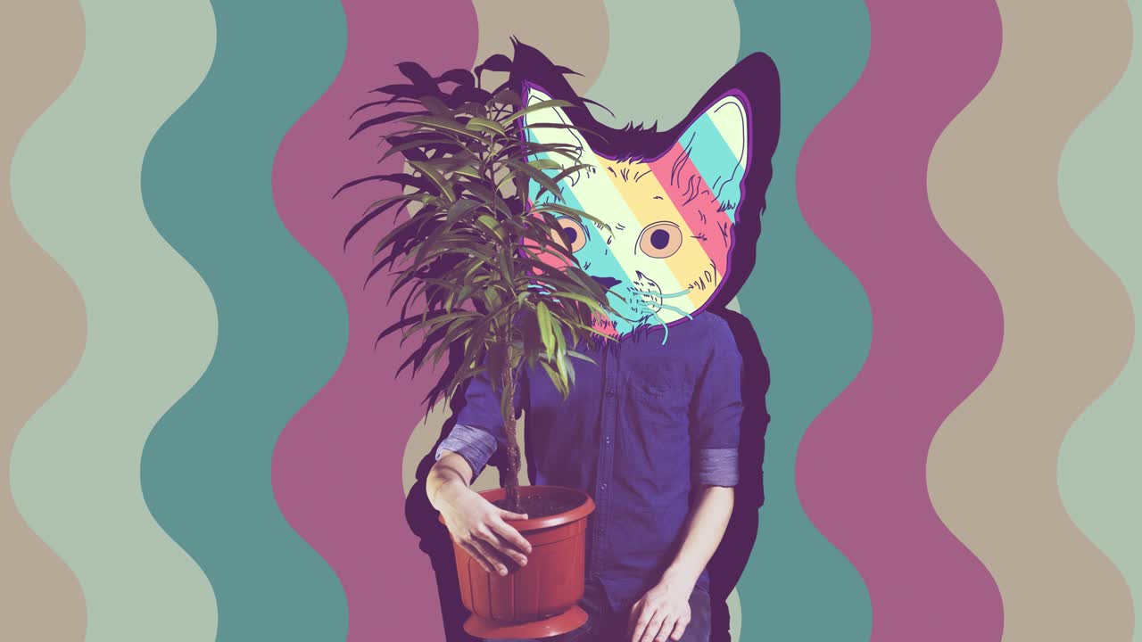 el estilo minimalista colorido, el gatito retro en el fondo hipnótico.