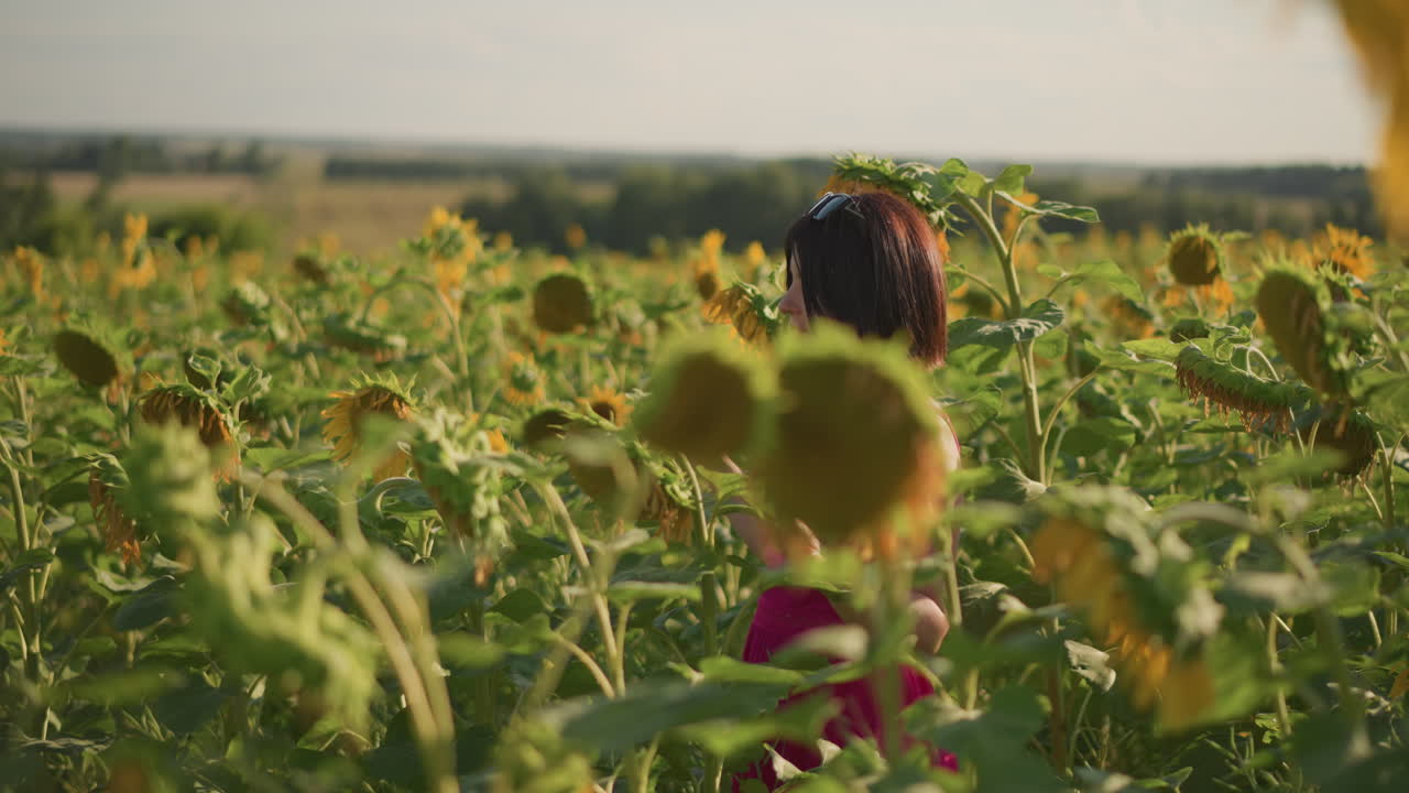 해바라기 밭에서 활기찬 분홍색 드레스를 입은 흑인 여성이 키 큰 꽃들 사이에서 활발하게 움직이며 탐험하고 있어요. 댄서가 빙글빙글 돌고, 사진작가의 피사체가 포즈를 취하고, 친구가 꽃잎을 향해 손을 뻗는 모습을 넓은 구도로 담아냈어요.