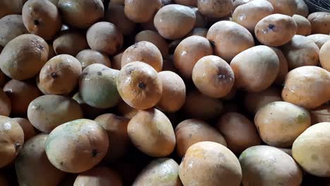 fresh mango fruit in the market, desi mango, fresh mango in the market with good arrange sort