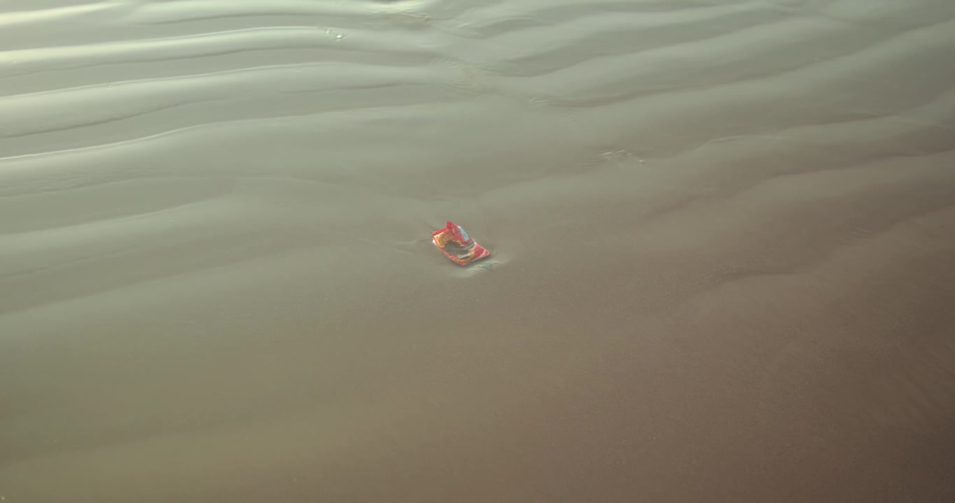 Single discarded plastic sandal floating in shallow seawater near beach shoreline in Goa, India, highlighting marine pollution, consumer waste and coastal environmental degradation, static shot