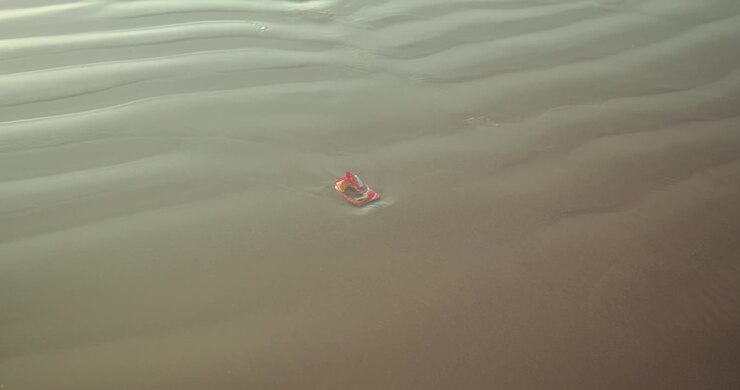 Single discarded plastic sandal floating in shallow seawater near beach shoreline in Goa, India, highlighting marine pollution, consumer waste and coastal environmental degradation, static shot