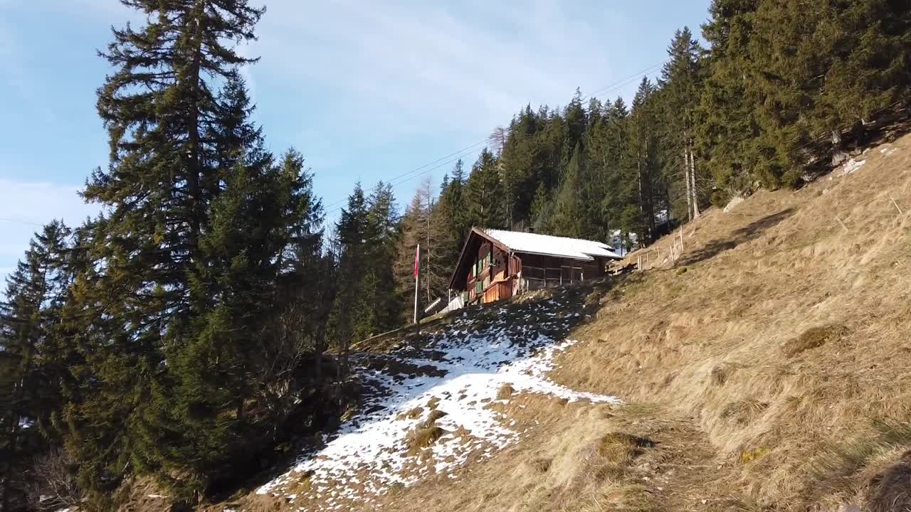 Scenic panning shot captures breathtaking beauty of snowcapped mountains in Switzerland on sunny day, highlighting stunning peaks and trees in seamless flow