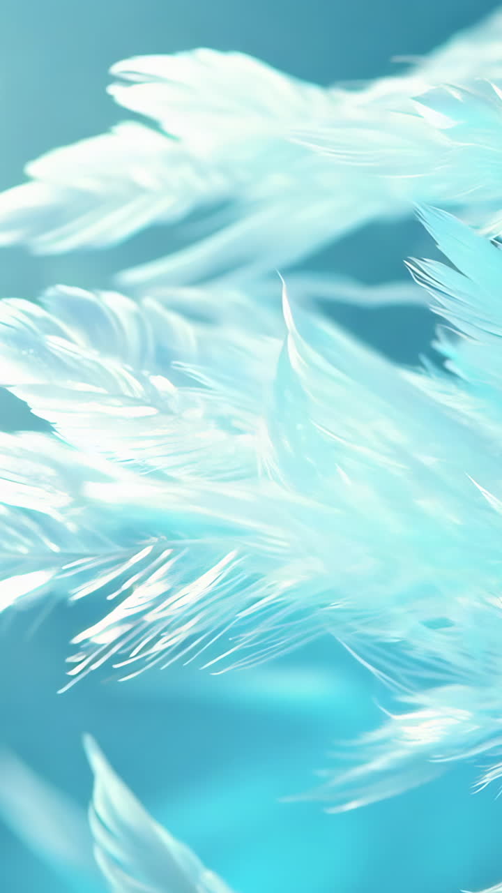 A close up of a flock of white feathers, with the blue sky in the background Vertical video