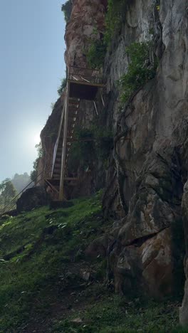the camera pans, revealing a rugged limestone cliff with caves, greenery, framed by tree branches on a sunny day.
