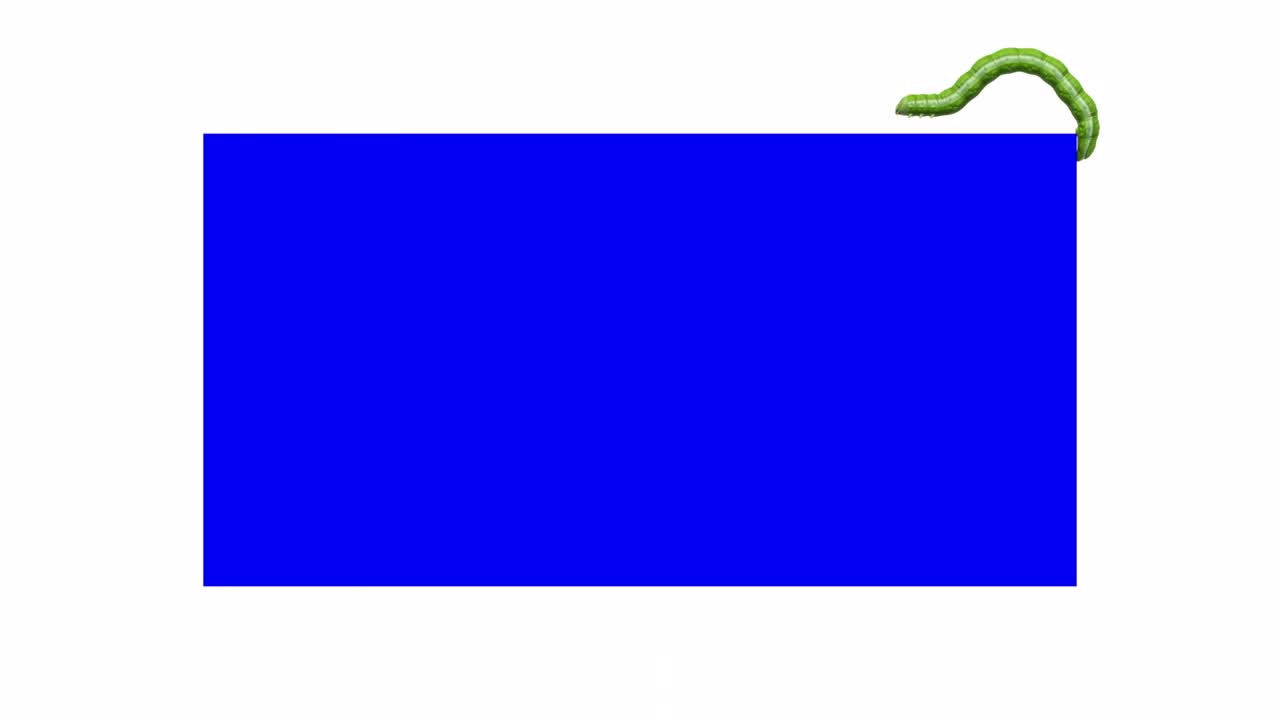 oruga en el rectángulo azul, animación en 3d en bucle